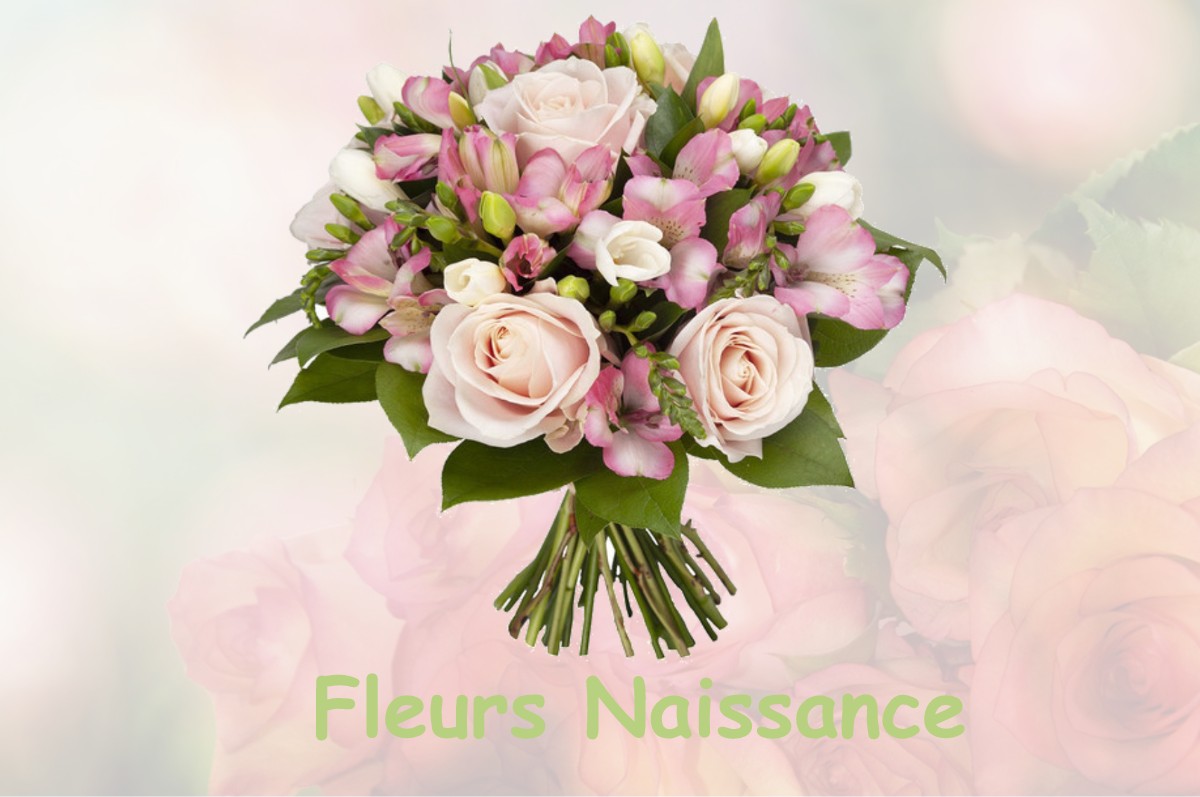 fleurs naissance SAINT-PIERRE-DE-RIVIERE